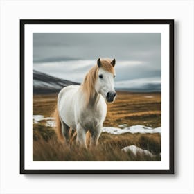 White Horse In Iceland 1 Art Print