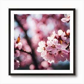 Cherry Blossoms 2 Art Print