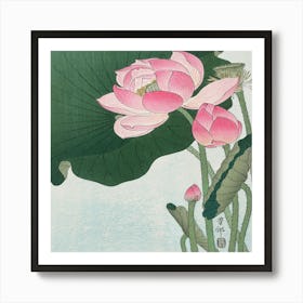 Lotus Flower 6 Art Print