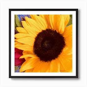 Sunflower In Oil Square Art Print