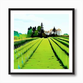 Vineyard Field Art Print