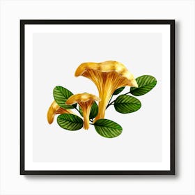 Chanterelle Mushrooms Art Print