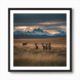 Deer In The Grass Art Print