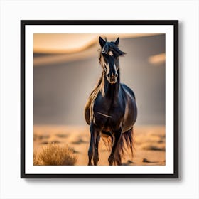 Black Horse In The Desert 1 Art Print