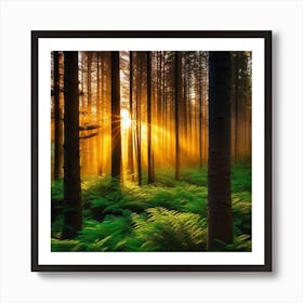 Sunrise In The Forest 23 Art Print