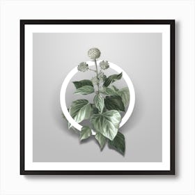 Vintage Common Ivy Minimalist Botanical Geometric Circle on Soft Gray n.0064 Art Print