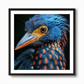 Blue And Orange Bird Art Print