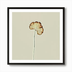 Ginkgo Leaf Art Print