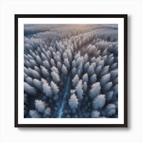 Aerial Photography Of A Winter Forest Art Print