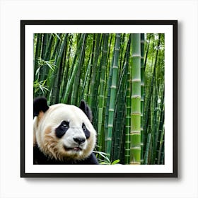 Panda Bear Bamboo Endangered China Wildlife Cute Furry Black White Endemic Conservation (2) Art Print