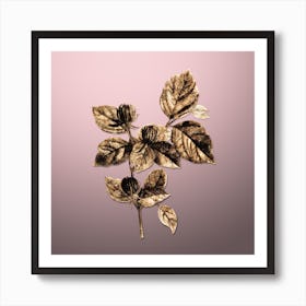 Gold Botanical Carolina Allspice Flower on Rose Quartz n.3008 Art Print