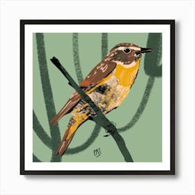 Bird Braunkelchen Art Print