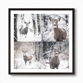 Armadiler Deer In The Maintain Snow Duotone Close Up Shot F838784d 5e7f 4542 Be89 D8293e85ef3c Art Print