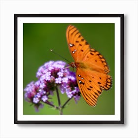 Butterfly - Orange Gulf Fratillary Art Print