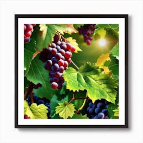 Grapes On The Vine 49 Art Print