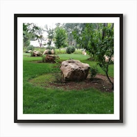 Rock Garden Art Print