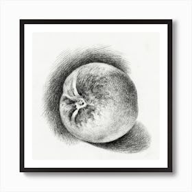 Apple (1812), Jean Bernard Art Print