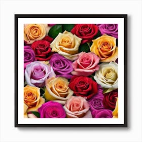 Colorful Roses 4 Art Print