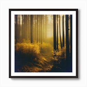 Foggy Forest 7 Art Print