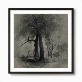 Tree In The Woods Art Print