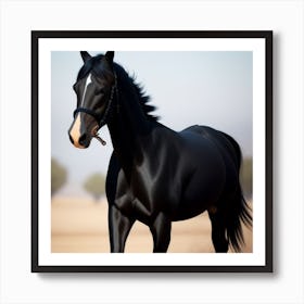 Black Horse Art Print