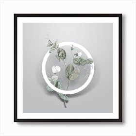 Vintage White Pea Flower Minimalist Flower Geometric Circle on Soft Gray n.0056 Art Print