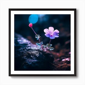 Up close on a black rock in a mystical fairytale forest, alice in wonderland, mountain dew, fantasy, mystical forest, fairytale, beautiful, flower, purple pink and blue tones, dark yet enticing, Nikon Z8 - Image 4 Art Print