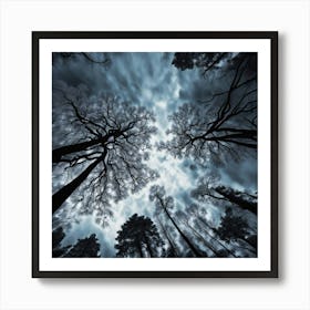 Looking Up Art Print