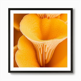 Close Up Of Orange Mushrooms Art Print