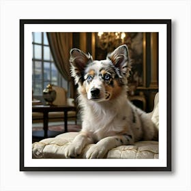 Australian Shepherd Art Print