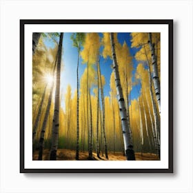 Birch Trees In Autumn 21 Art Print