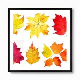Autumn Leaves Isolated On White Photo Art Print