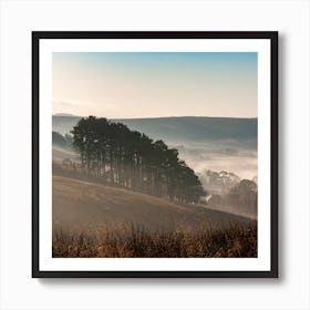 Above Falston Art Print