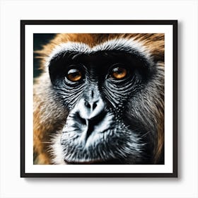 Close Up Of A Monkey 1 Art Print