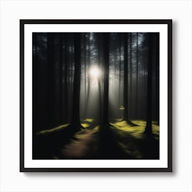 Light In The Forest Art Print