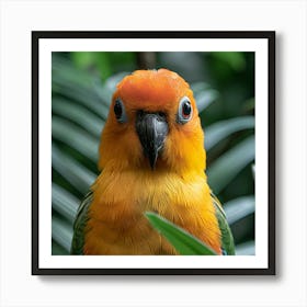 Parrot 11 Art Print