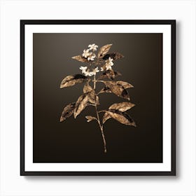Gold Botanical Sweet Pittosporum Branch on Chocolate Brown n.3890 Art Print