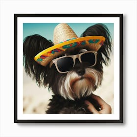 Dog Wearing A Sombrero Affiche