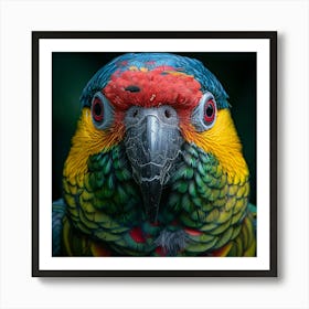 Colorful Parrot 27 Art Print