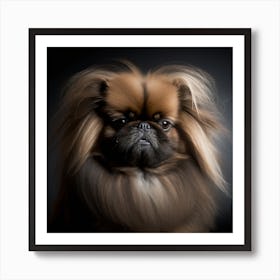 Pekingese Portrait Art Print