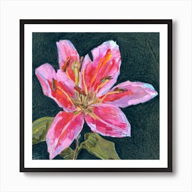 Pink Lily on Dark Background Art Print