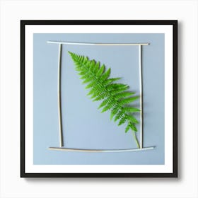 Fern In Frame Botanical Photography Art Print