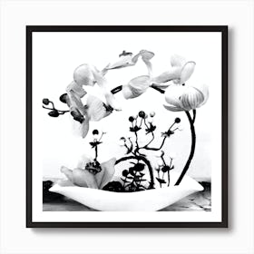 Orchid Art Black And White Art Print