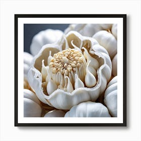 Close Up Of Garlic Art Print