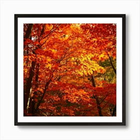 Firefly Autumn Leaves In Blaze Fiery Reds, Oranges, And Yellows Of Fall Foliage 3 Póster