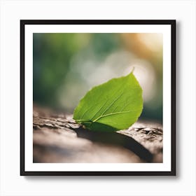 Green Leaf On A Tree Art Print