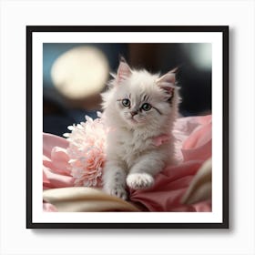 Kitten On A Pink Blanket Art Print