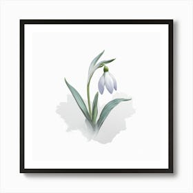 Snowdrop Art Print