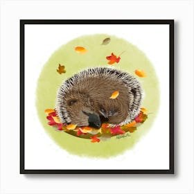 Hedgehog /Hérisson  Art Print