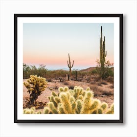 Desert Sunset Square Art Print